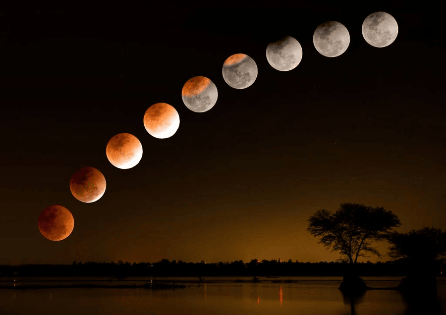 fot. Canva(1) - Canva