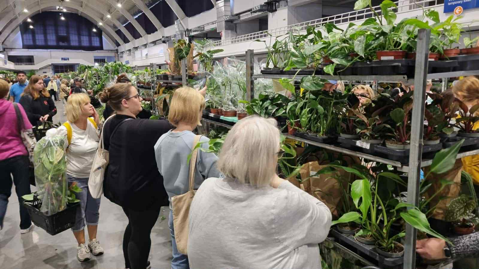 festiwal roślin - Magdalena Konieczna - Radio Poznań