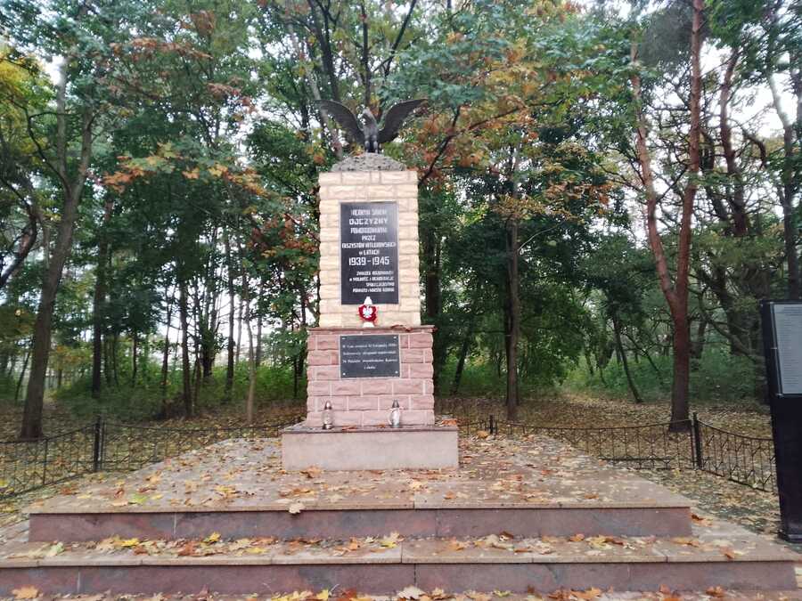 zapal znicz pamięci konin - Michalina Maciaszek - Radio Poznań