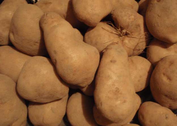Ziemniaki - Muzeum Wsi