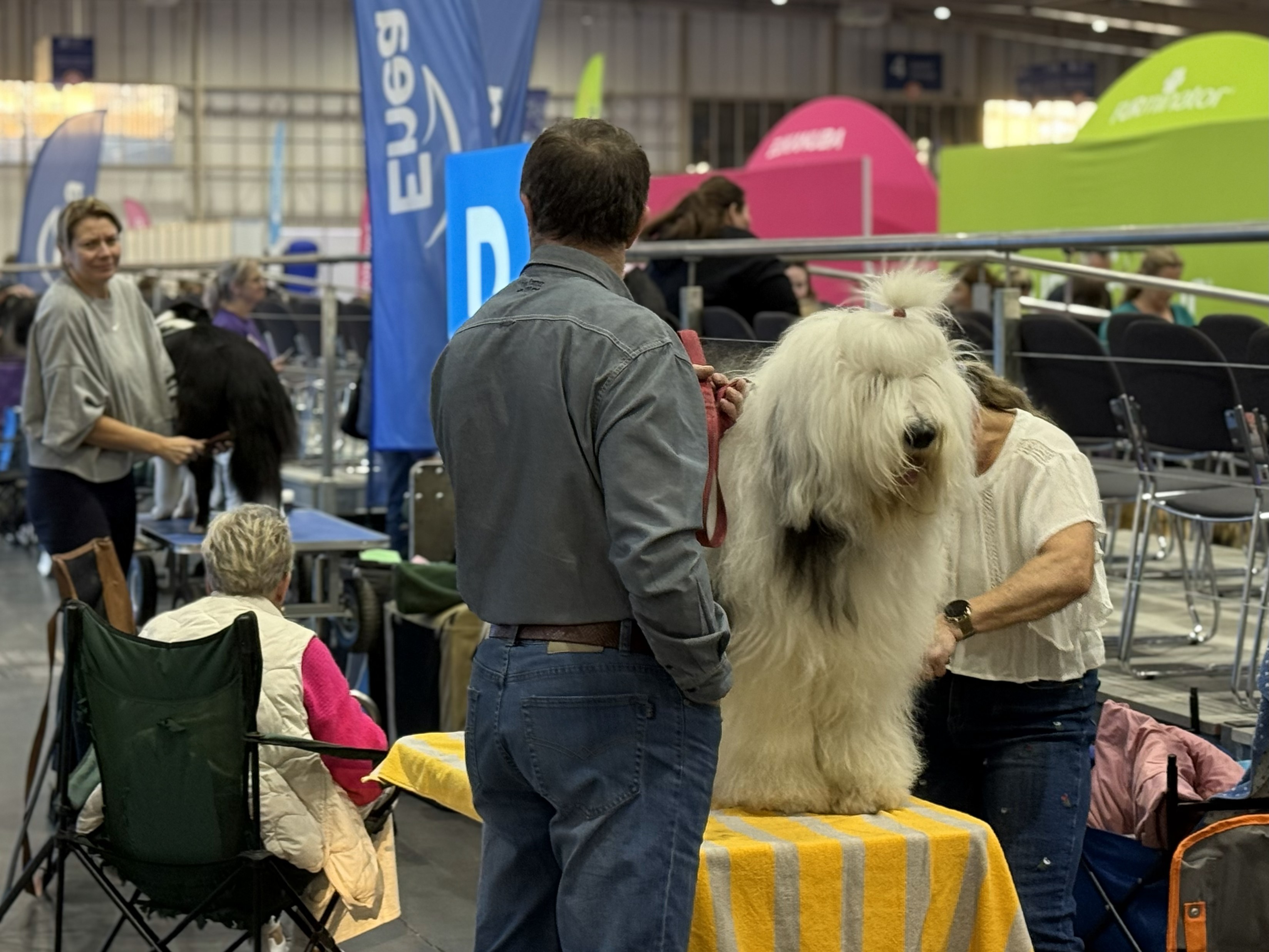 Psy targi - Eliza Hajdenrajch - Radio Poznań