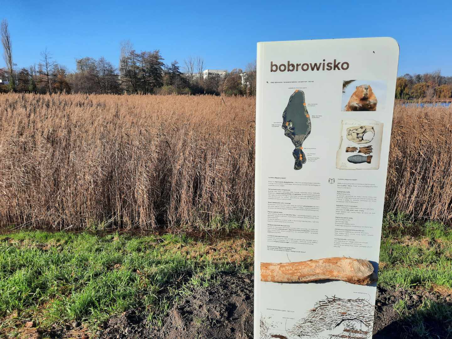 tablice edukacyjne jelonek gniezno - Rafał Muniak - Radio Poznań