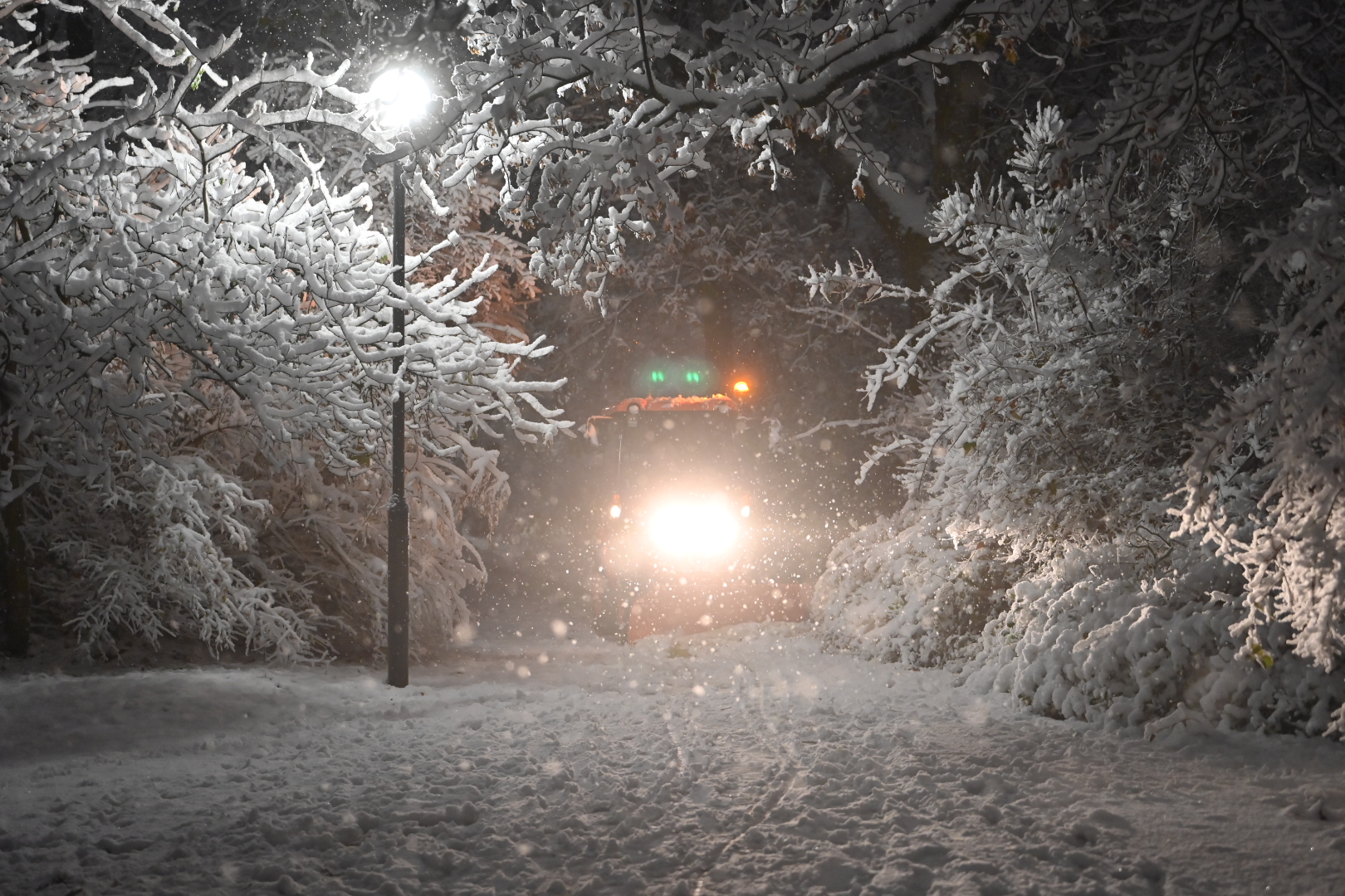 park wilsona śnieg - Wojtek Wardejn - Radio Poznań