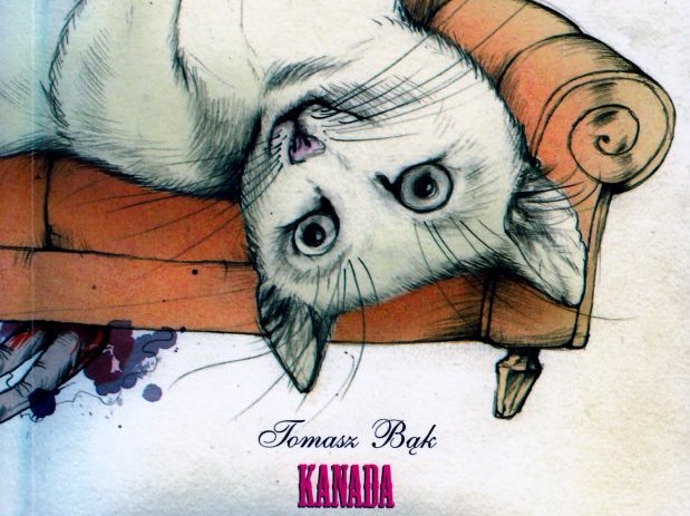 Kanada - Bąk - WWBP/CAK