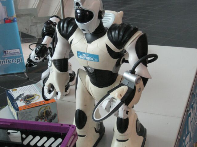 festiwal robotów 2012 - Magda Konieczna