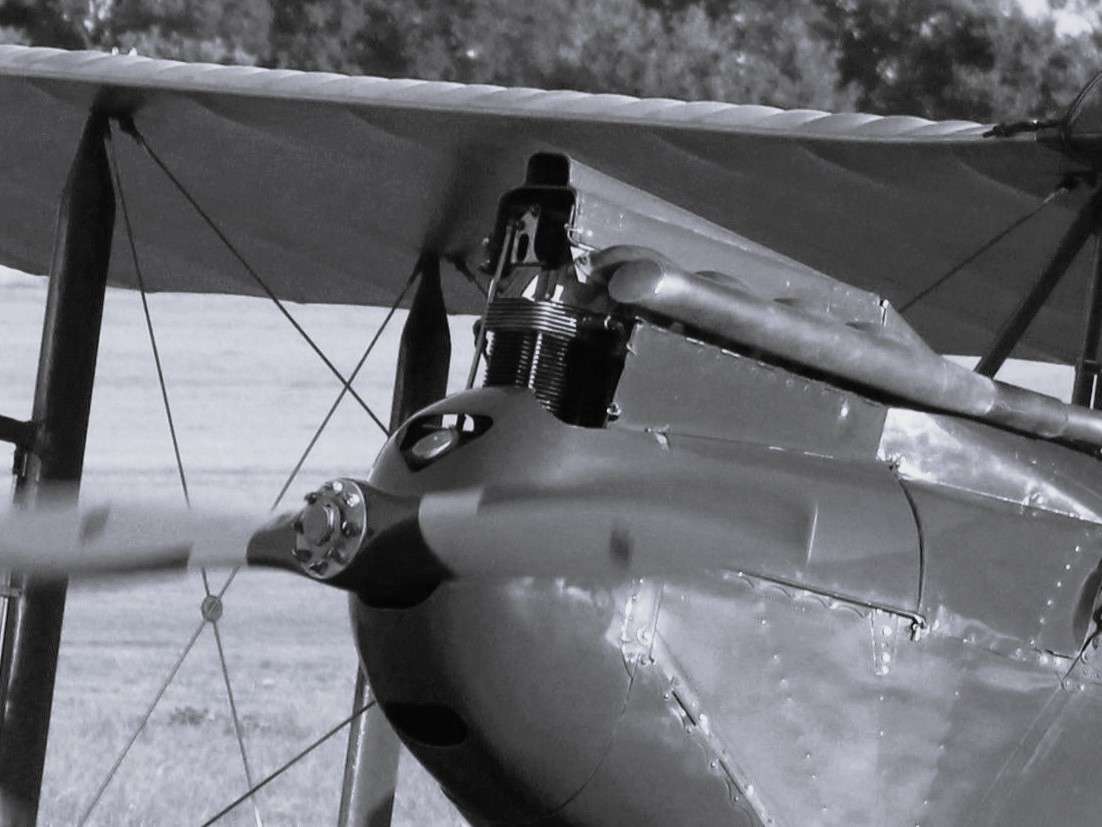 pexels-stevecormie-33579529 - Steve Cormie - Pexels