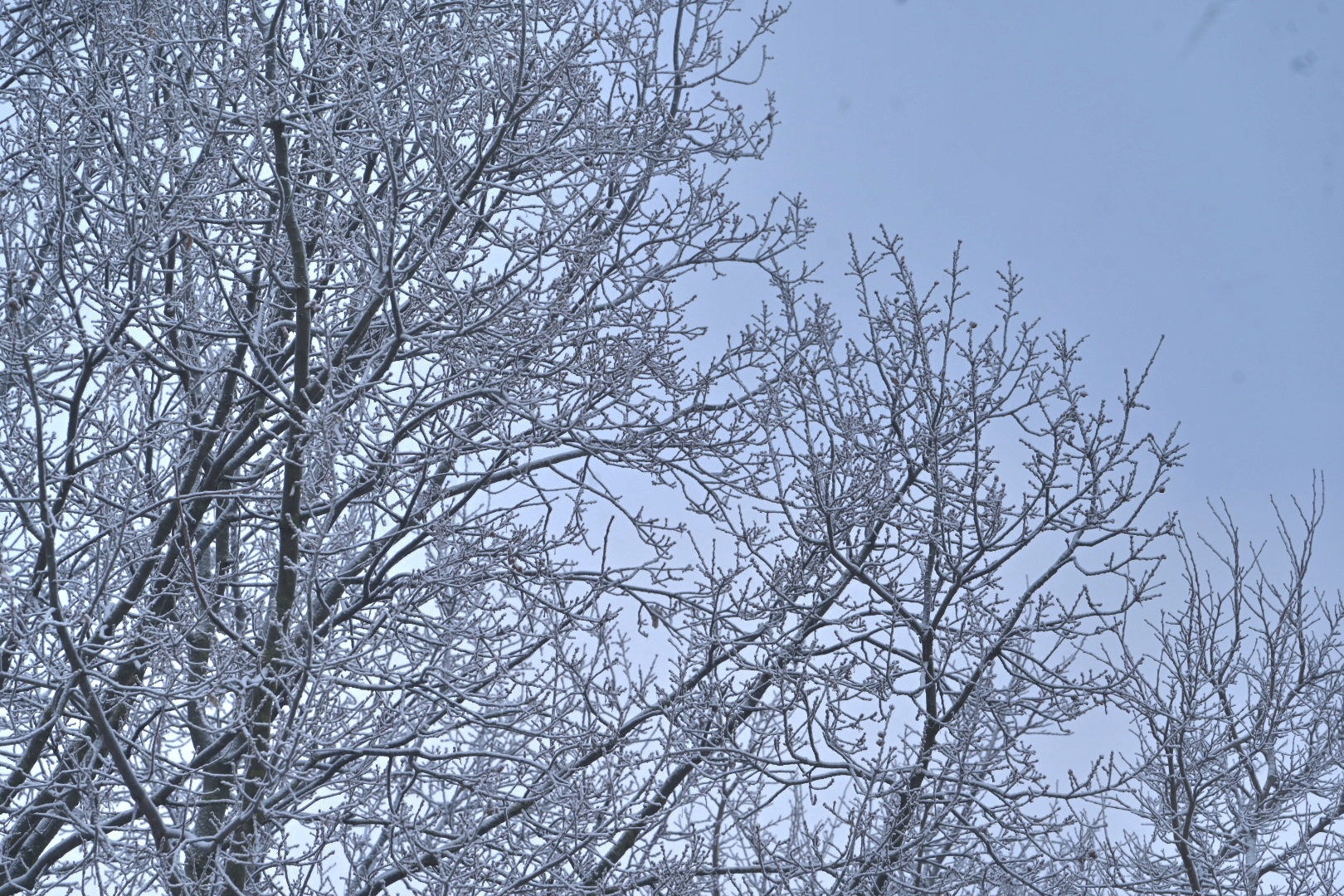Zima uderza ponownie. choćby –17 stopni w regionie