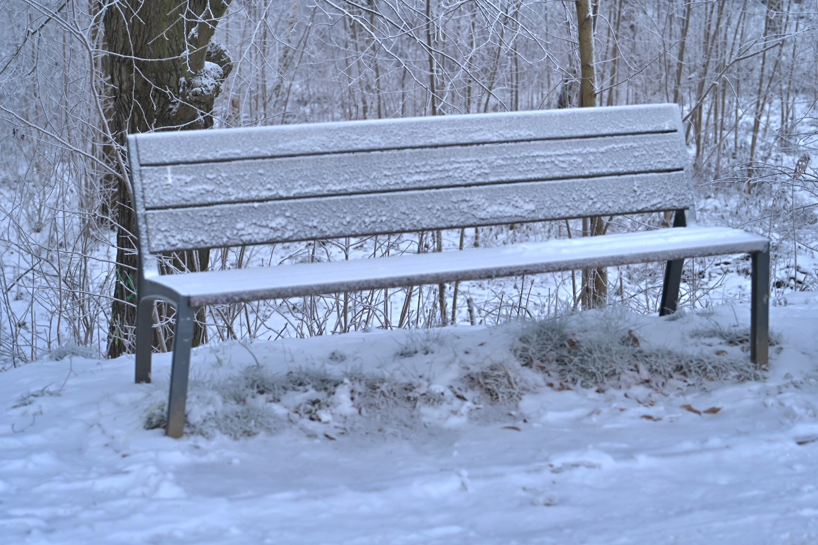 Nawet -18 stopni. IMGW wydało ostrzeżenie dla południowej Wielkopolski