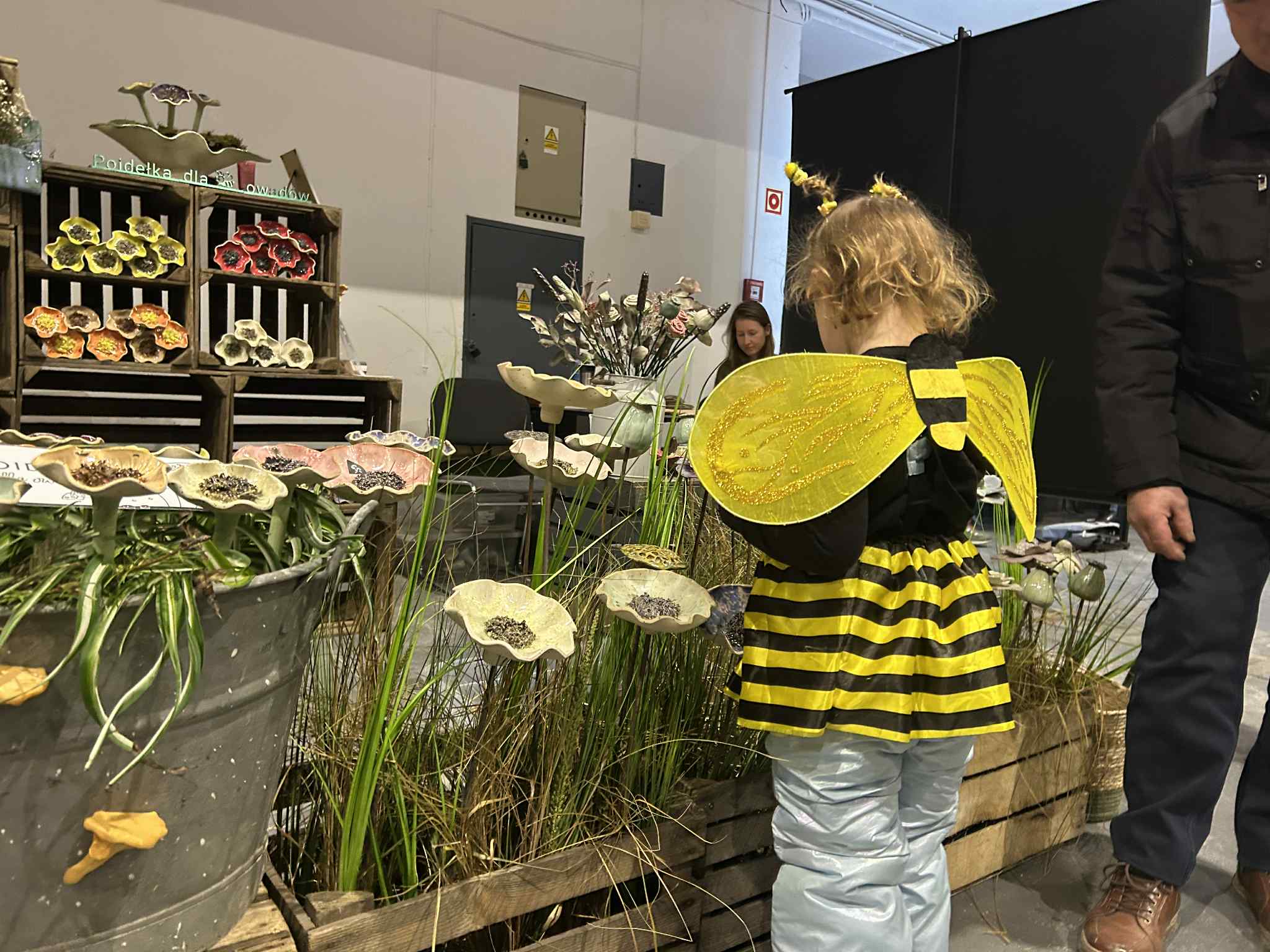 Pszczoły beefest - Szymon Majchrzak - Radio Poznań