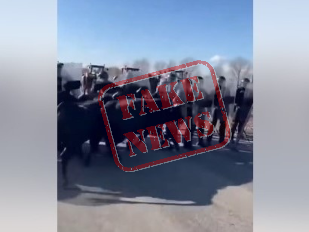 Czy rolnicy wypuścili byki na policję? To fake news!