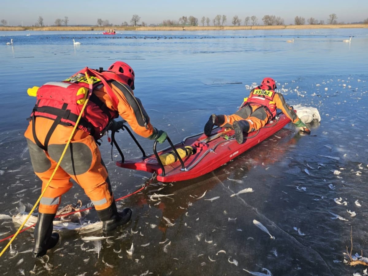 łabędzie przymarznięte zalew jutrosin - KP PSP Rawicz