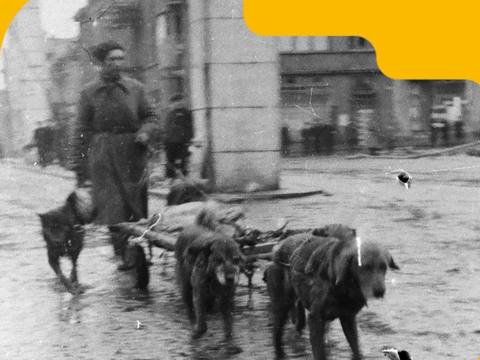 wyzwolenie gniezna książka - MOK Gniezno