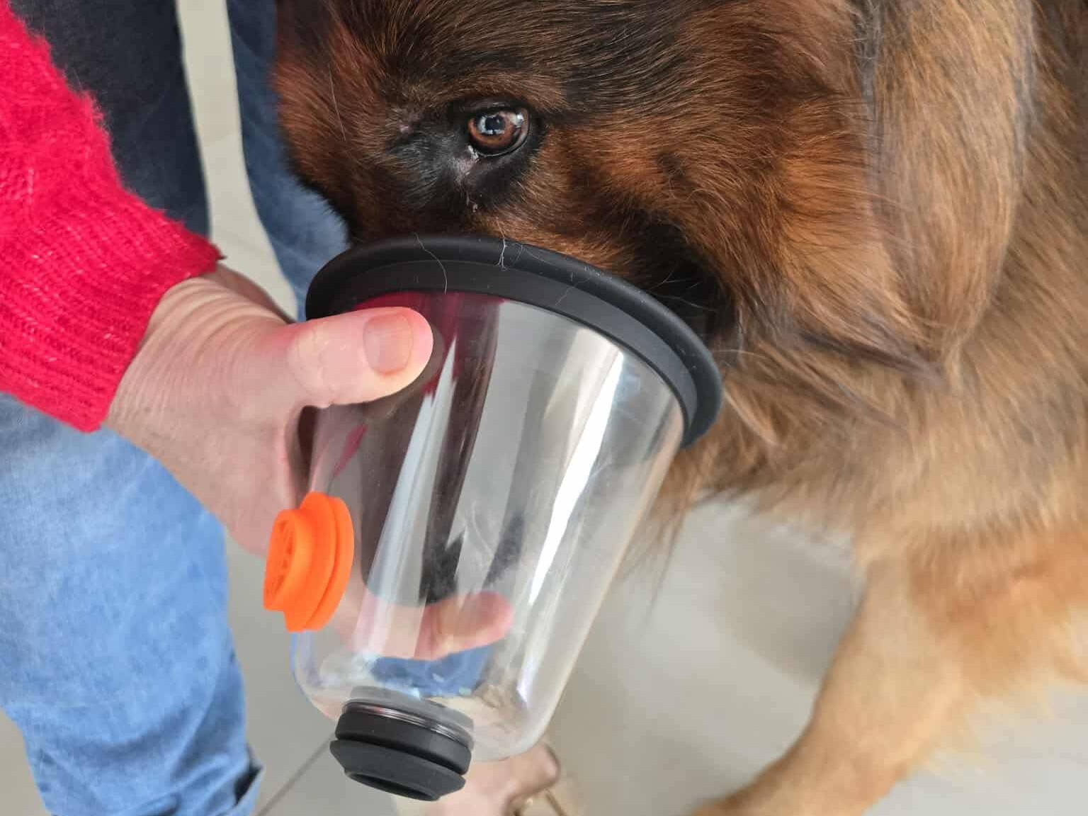 Będą ratować nie tylko ludzi. OSP Rogoźno ma maski tlenowe dla zwierząt