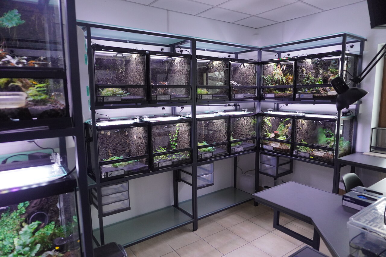 laboratorium płazy zoo - Remigiusz Koziński - ZOO Poznań