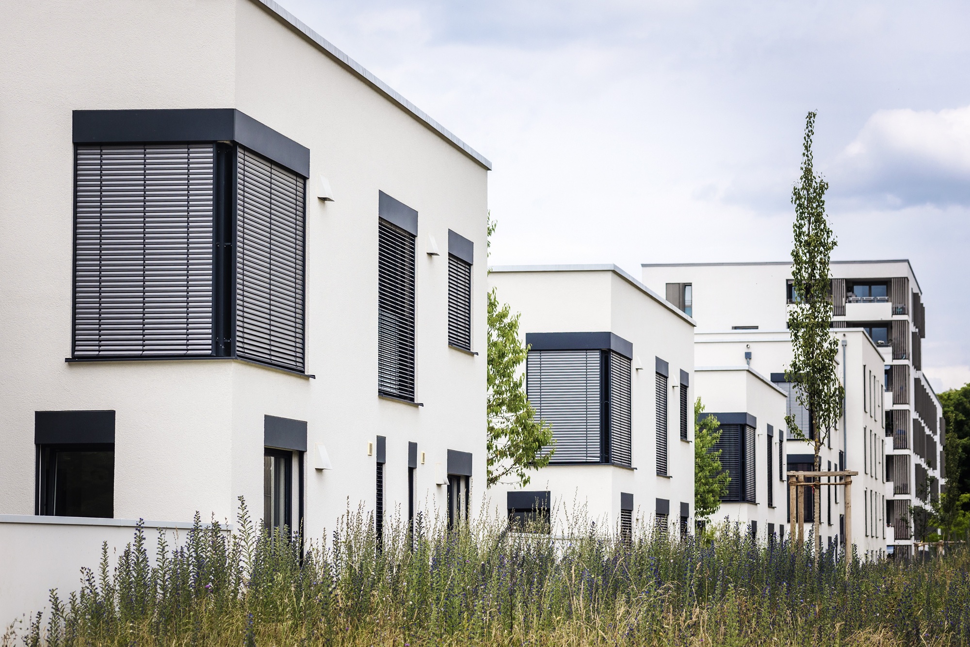 3 (5) - Materiał sponsorowany