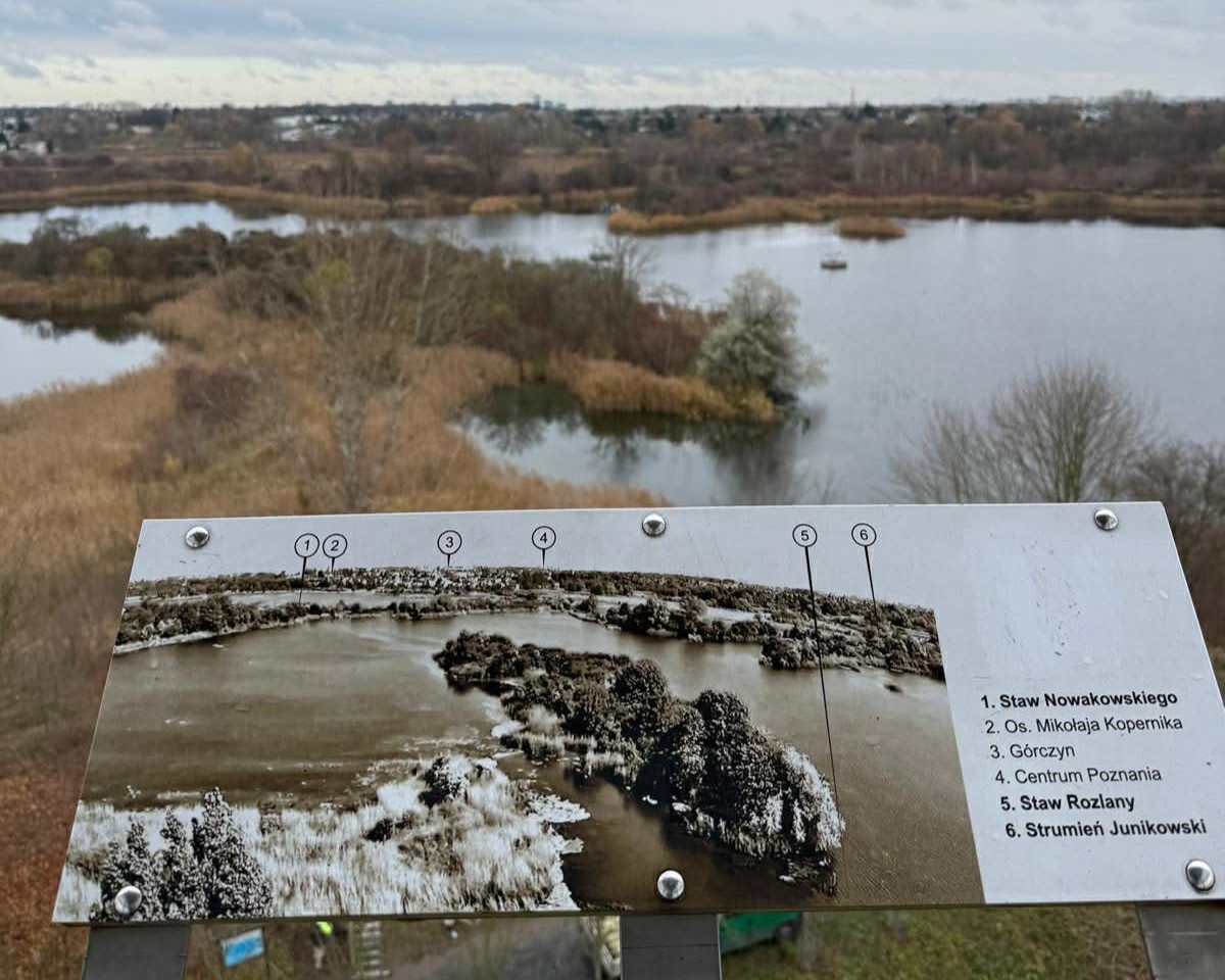 szachty - Natalia Krawczyk - Radio Poznań