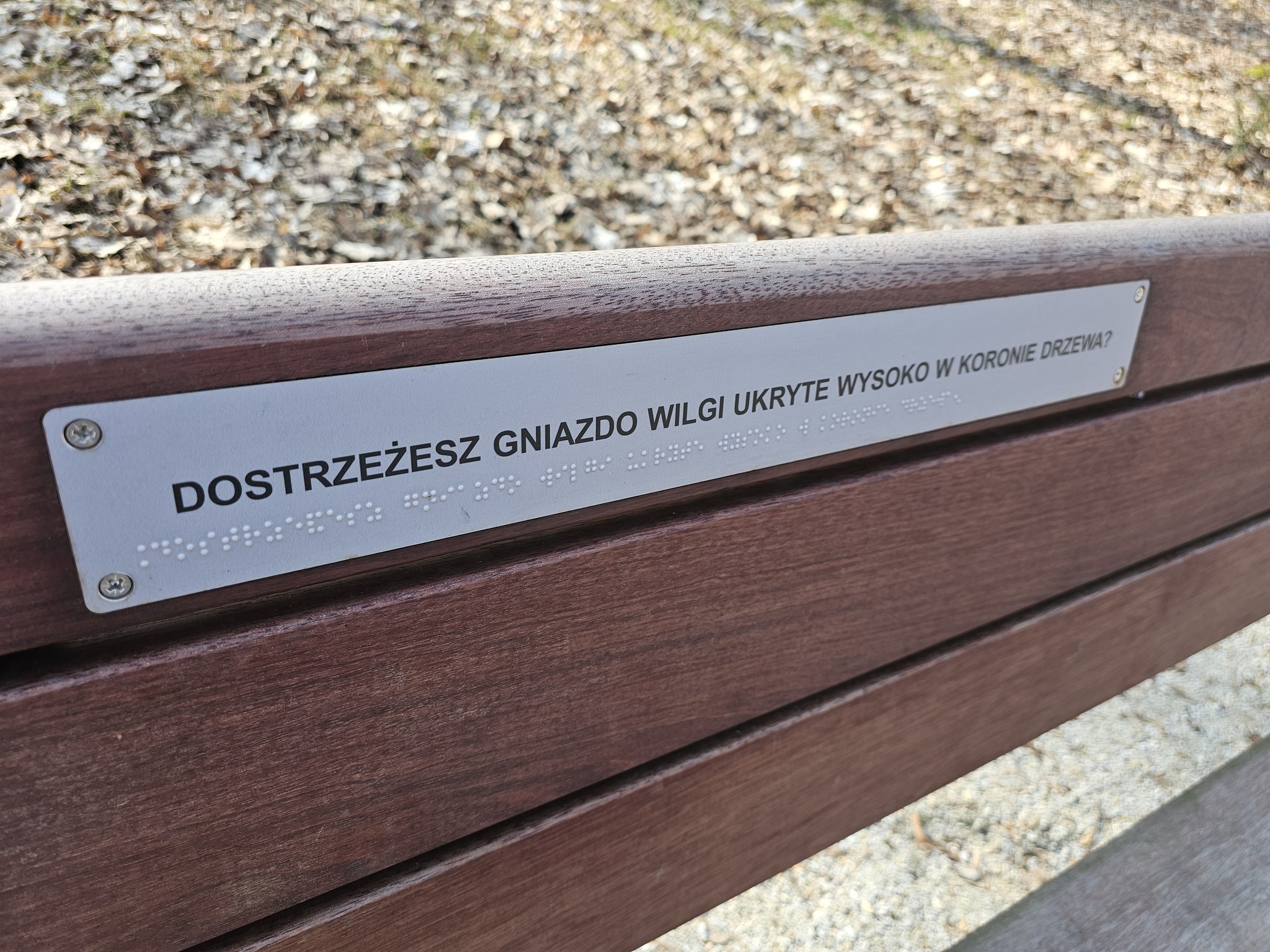 napis brailem ławka gniezno - Gniezno24.com