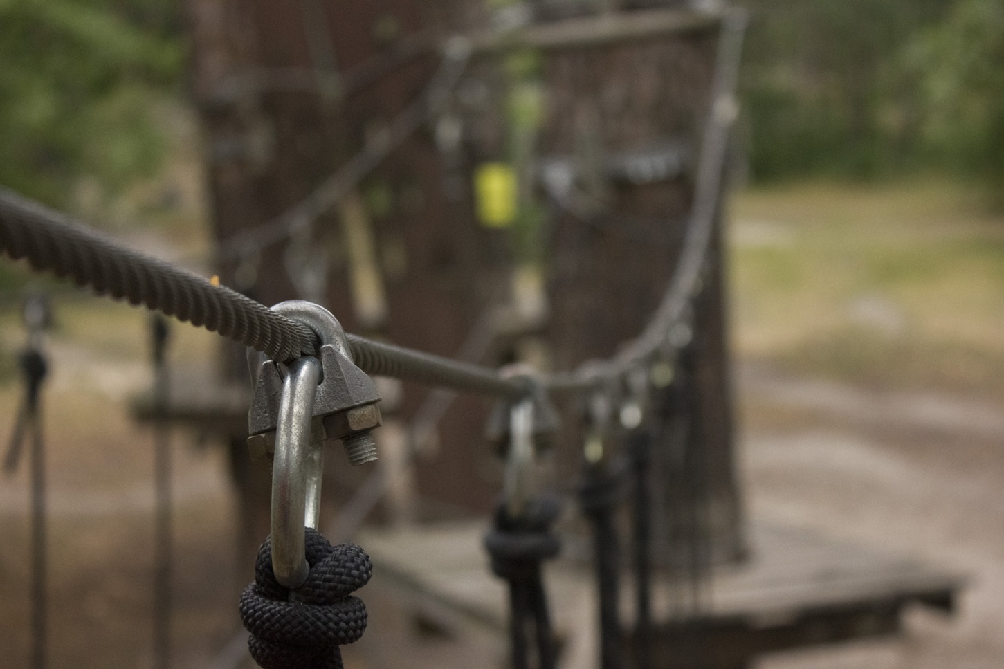 park linowy - nikitozawr - Pixabay