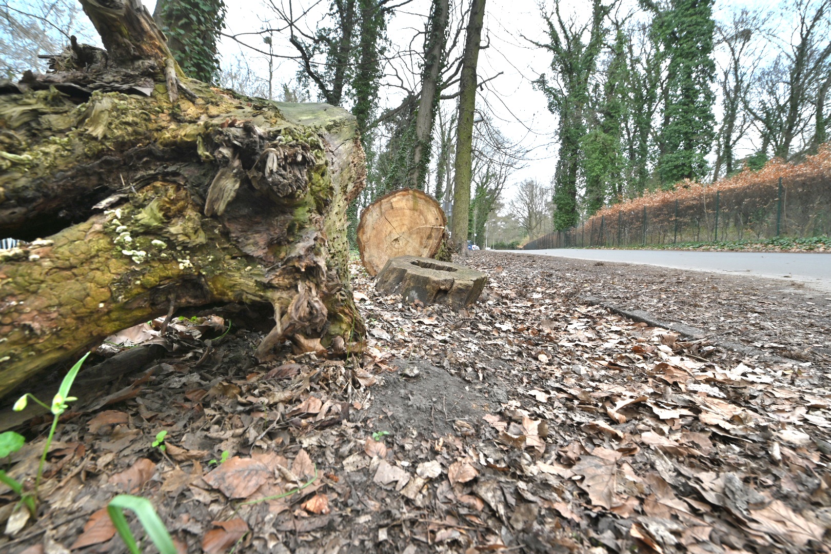 Wojtek Wardejn