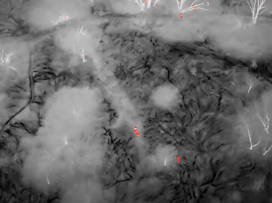 poszukiwania kobiety w bagnie termowizja - KMP Śrem