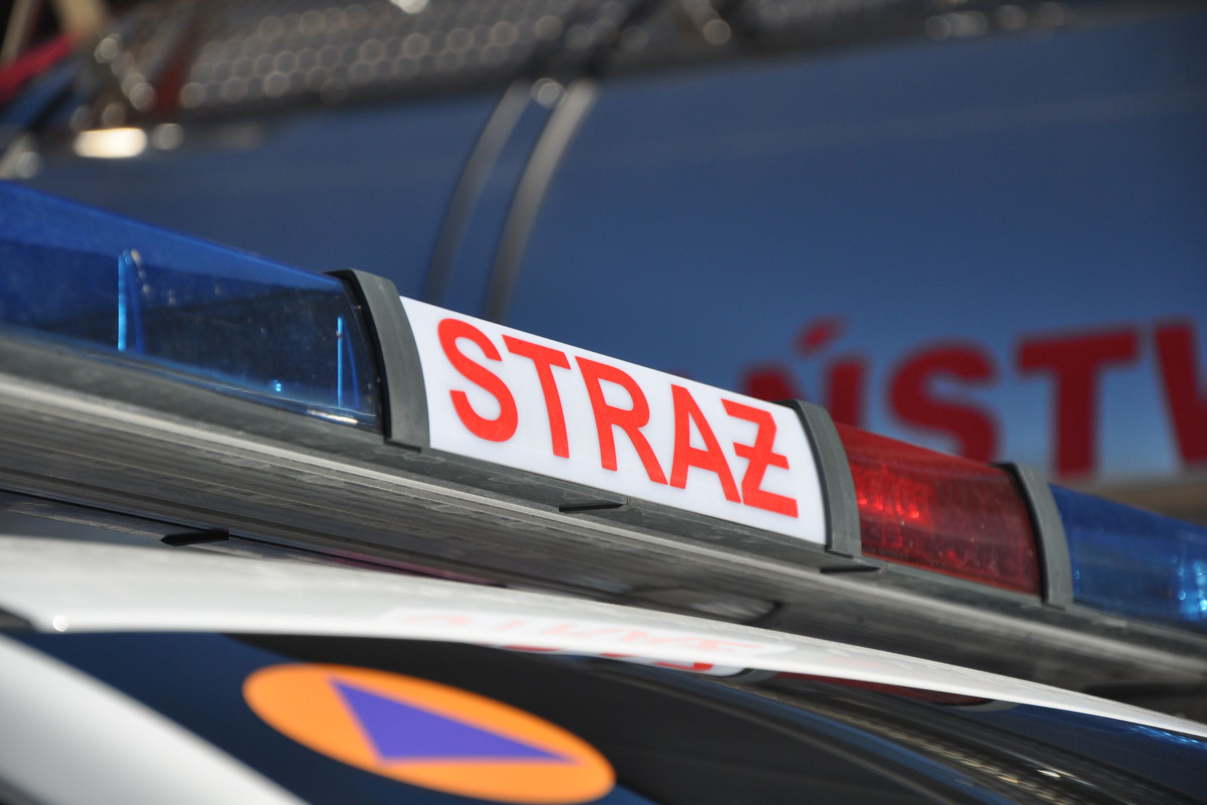 straż pożarna detal - Eliza Hajdenrajch