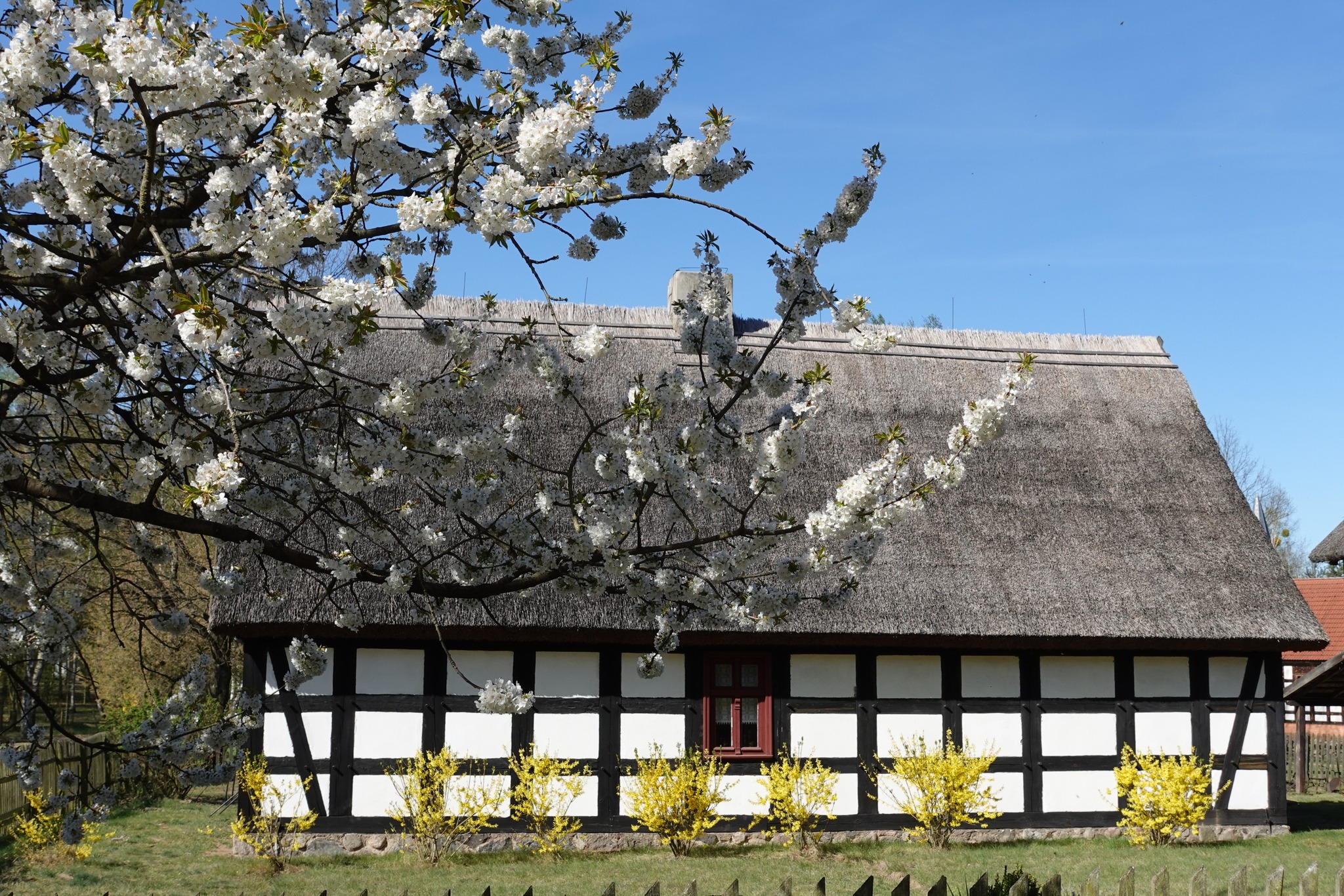 Muzeum Kultury Ludowej w Osieku nad Notecią