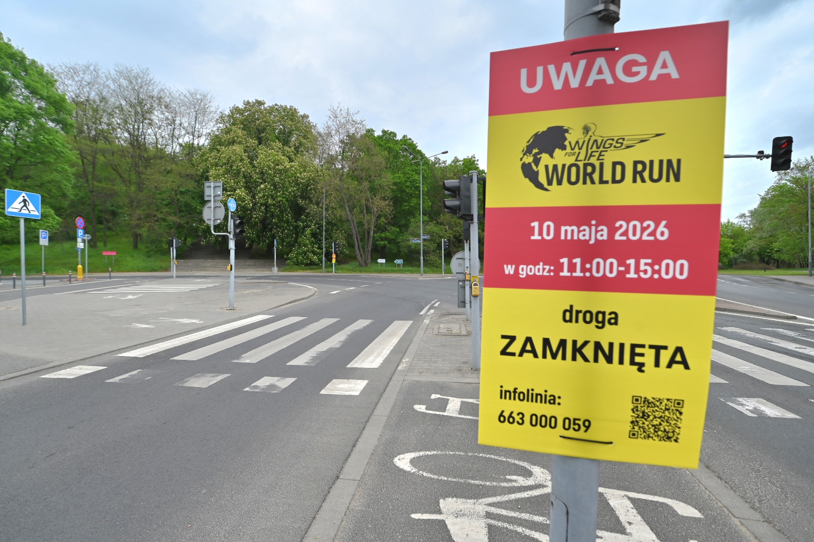 wings trasa zamknięta - Wojtek Wardejn