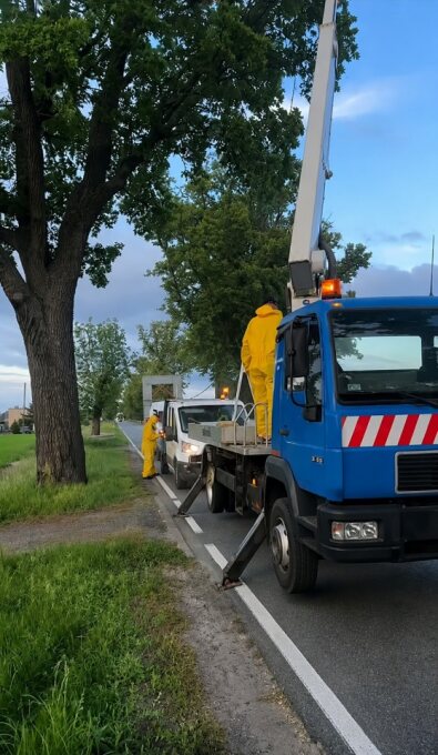 Gmina Białośliwie