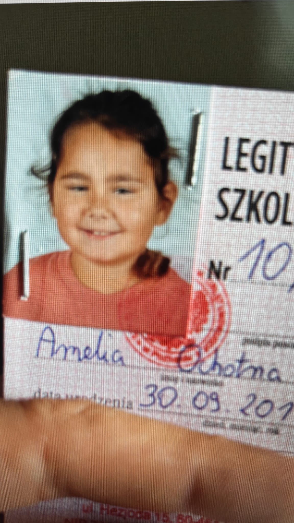 Wielkopolska Policja