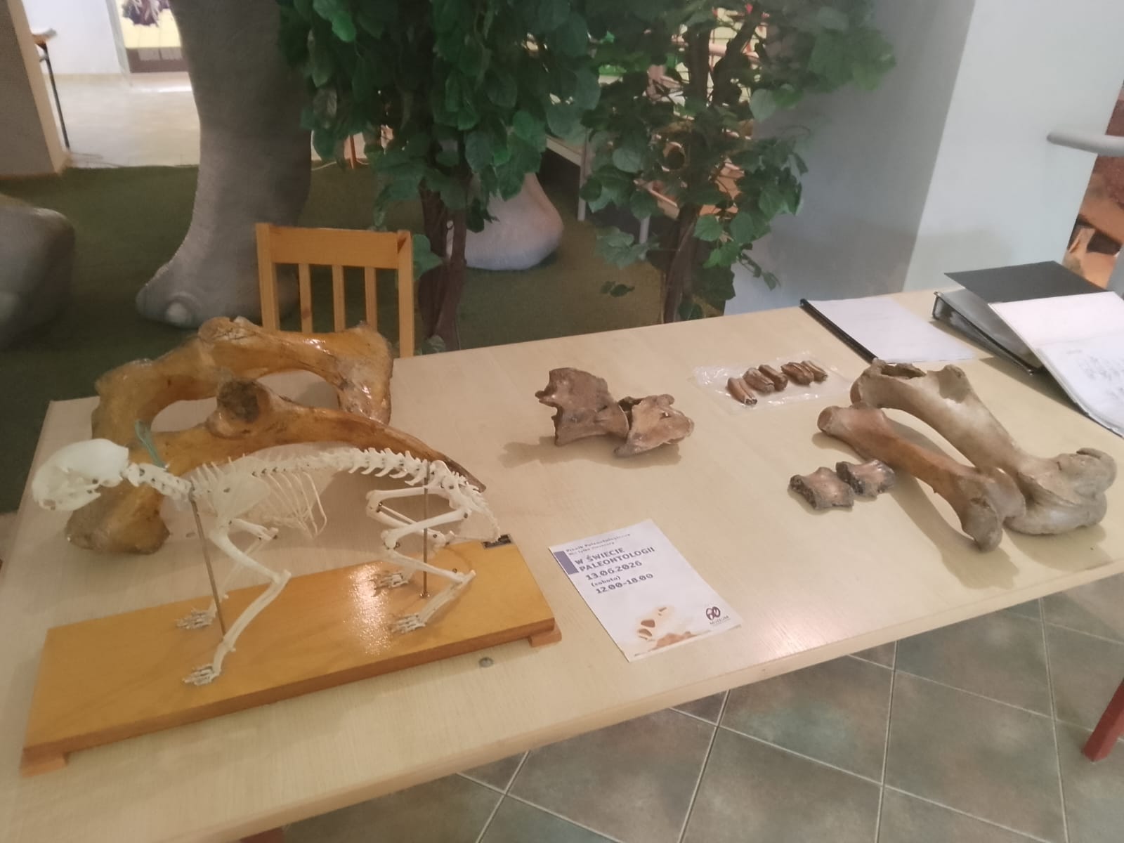 Michalina Maciaszek