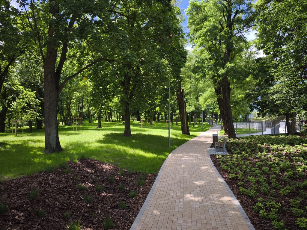 Park Gostyń Zielona rewolucja Rekreacja Drzewa  - Bartłomiej Klupś - Radio Poznań
