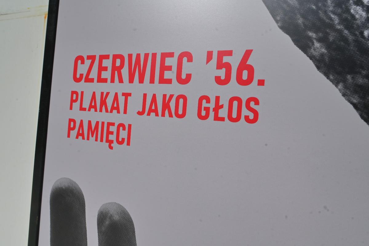 Wojtek Wardejn