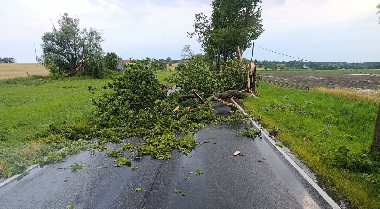 burze uszkodzenia wielkopolska - KP PSP Kościan