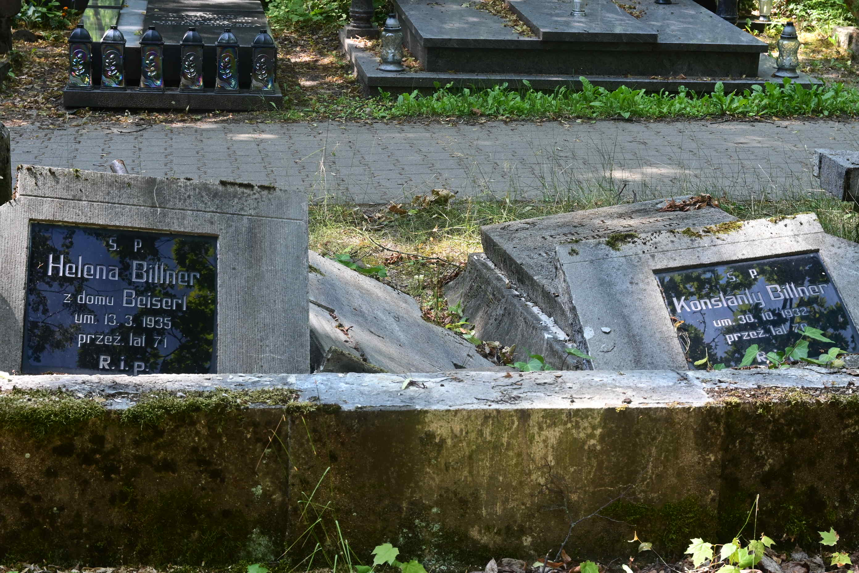 Maciej Trzciński