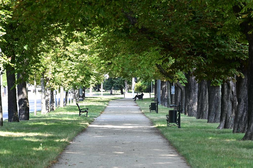 Maciej Trzciński