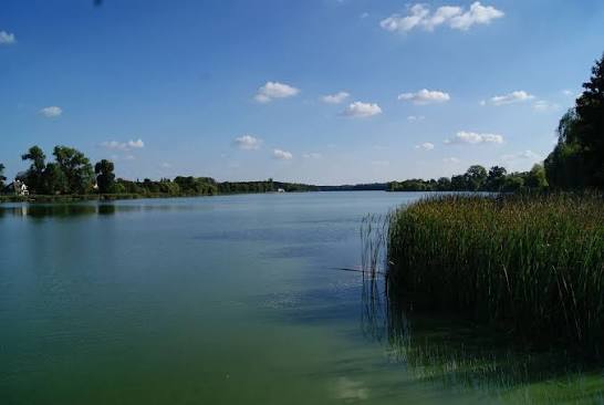 jezioro rogozińskie - Stowarzyszenie Jezioro Rogozińskie