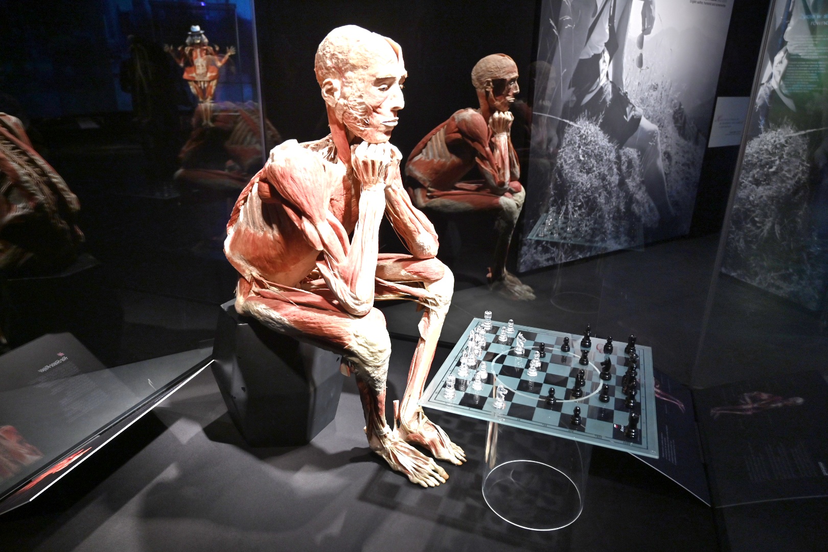 Body Worlds - Wojtek Wardejn  - Radio Poznań