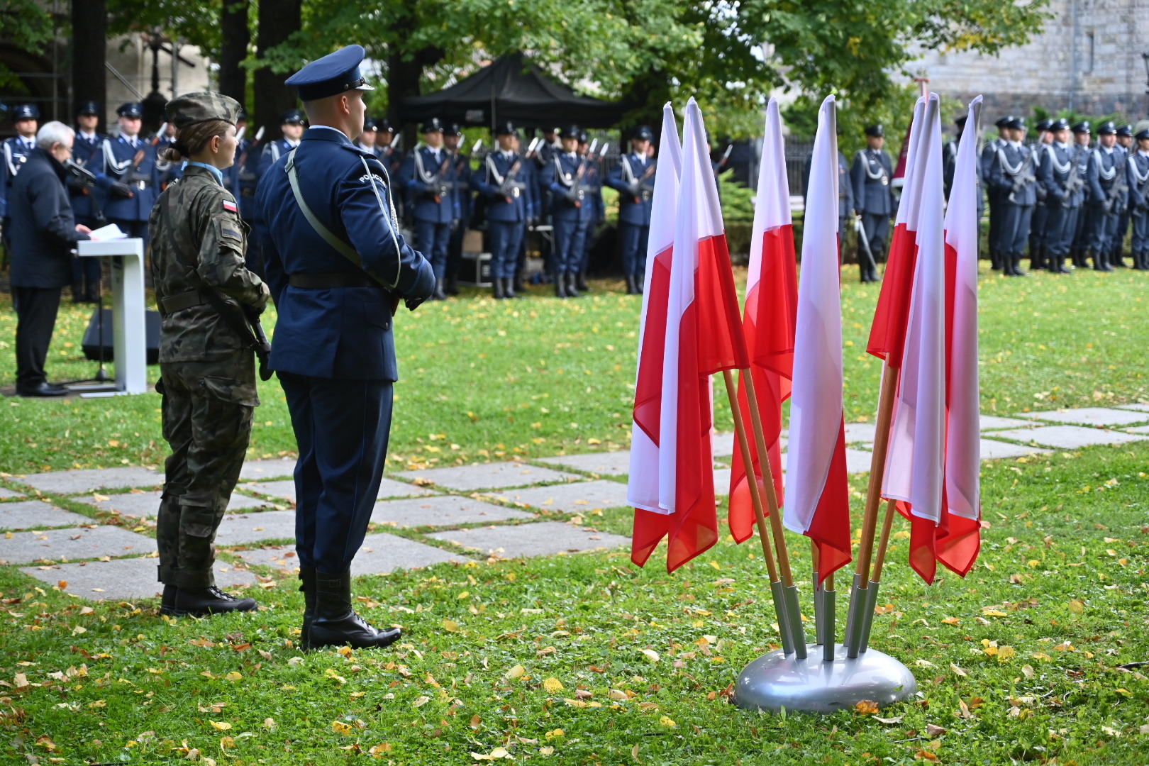 Wojtek Wardejn 