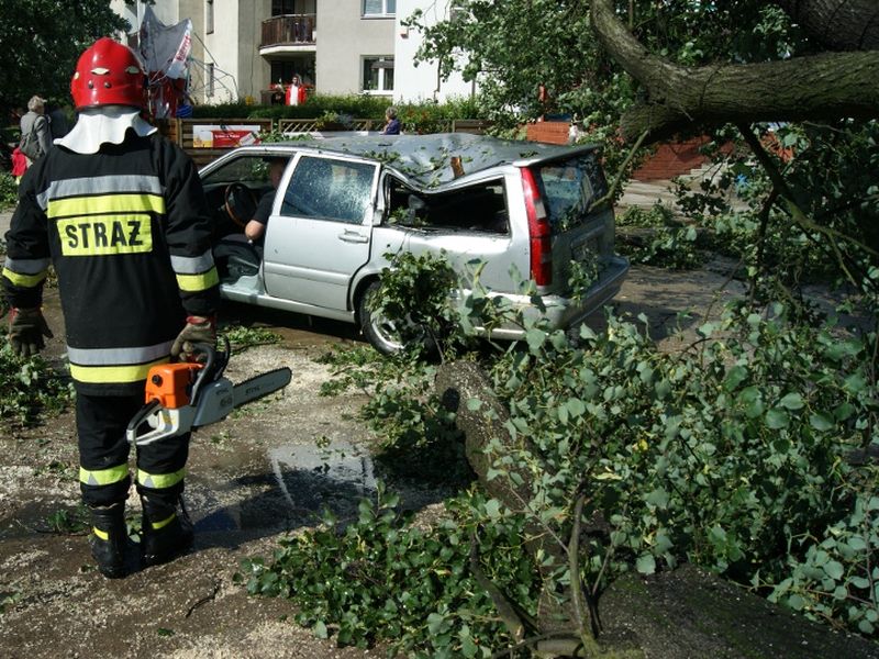 Nawałnica w Pile - powalone drzewa - Wiesława Pinkowska