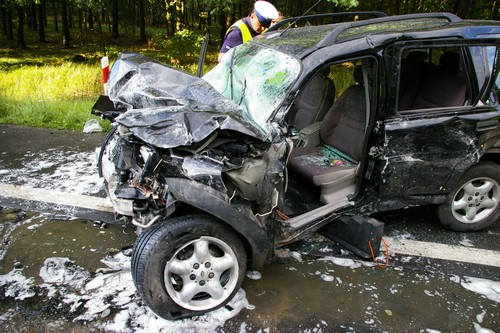 Wypaasek Rydzyna - Leszno - Policja/Poznań