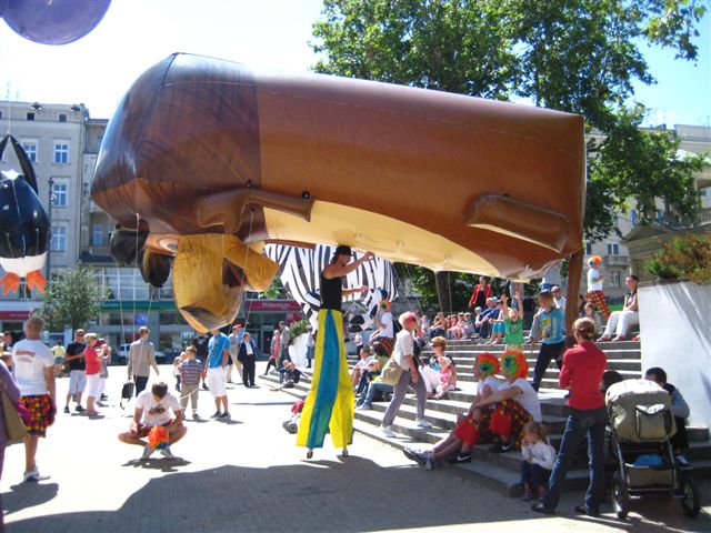 parada madagaskar (11) - Magda Konieczna