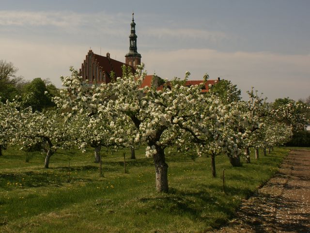 Klasztor w Lubiniu - o. Jan Bereza