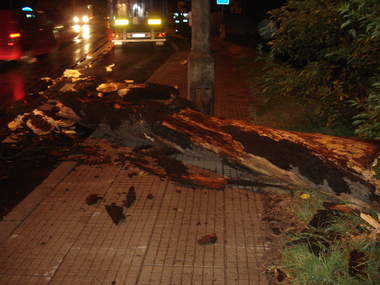 Nawałnica nad Gnieznem 2 - PSP Gniezno