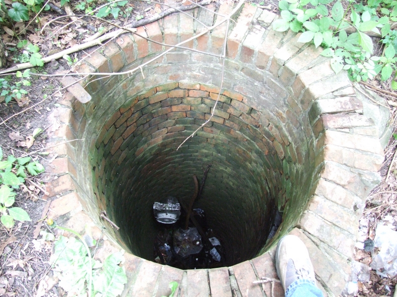 Aneta Wyrwas i Adam Tarkowski