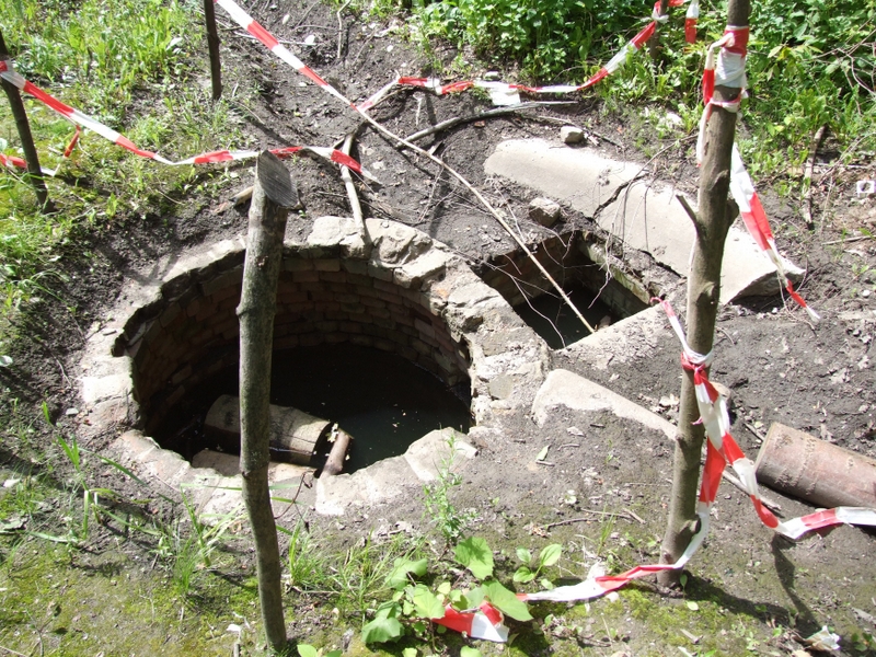 Aneta Wyrwas i Adam Tarkowski