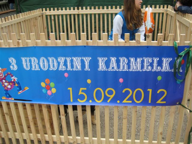 karmelek schronisko3 - Magdalena Konieczna