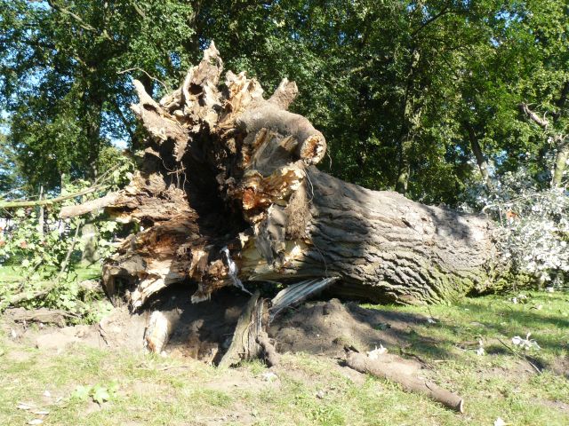 nawałnica grodzisk - Krzysztof Sadowski