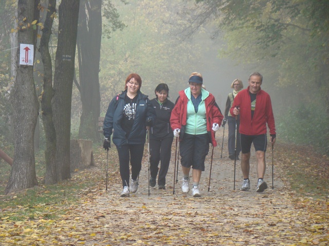 Kijomarsz jesienny 2012 - Piotr Niewiarowski