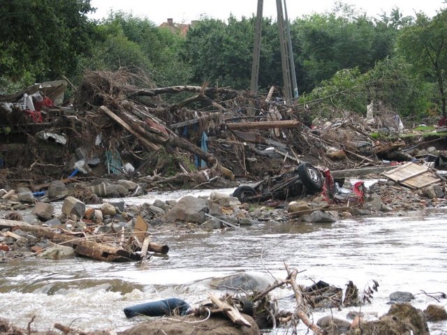 materiały AWF w Poznaniu