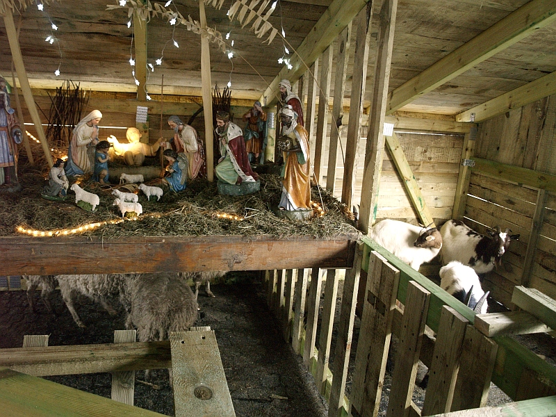 Jarmark Świąteczny - Ostrów Wielkopolski - Jarosław Wardawy